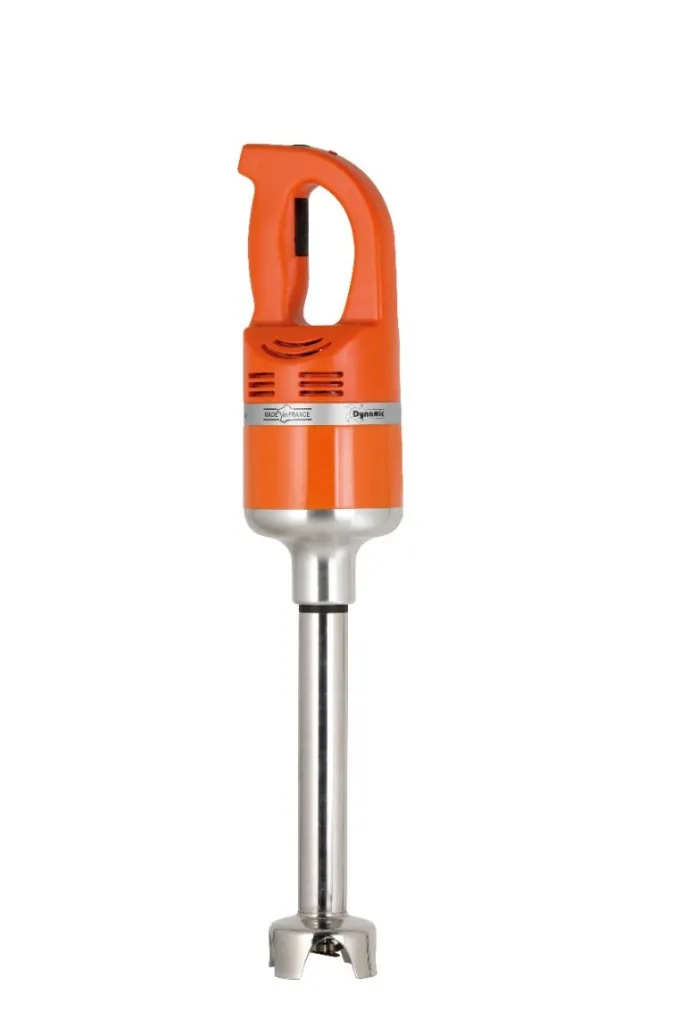 Mixeur Plongeant Professionnel DMX 300 CC - 600W - Dynamic