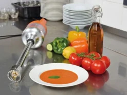 Mixeur Plongeant Pro Master DMX 410 Blender et Homogénéisateur - Dynamic