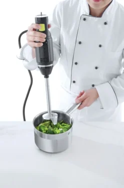 Mixeur Plongeur Blend - 1 à 8L - 6 Vitesses - Hendi