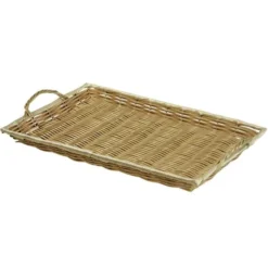 Plateau Polypropylène Rectangle Plastic 37X22 Lot de 40 - Créapak