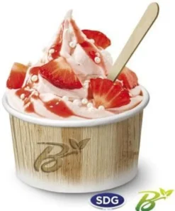Pot de Glace en Carton Recyclable Nature 155 ml Lot de 1485 - SDG