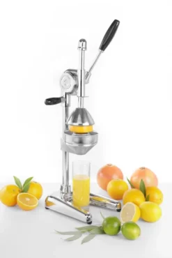 Presse-agrumes Bar up 225x180x(H)510 mm - Hendi