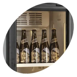 Réfrigérateur à Boissons FSC175H - TEFCOLD