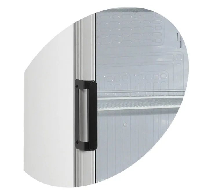 Réfrigérateur à Boissons FS1380 - TEFCOLD