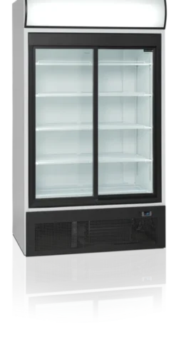 Réfrigérateur Vitré FSC1950S - TEFCOLD