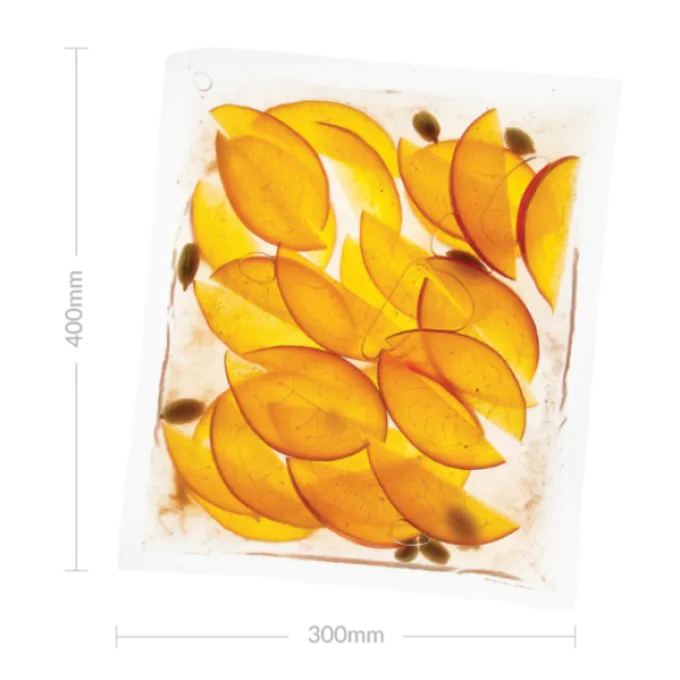 Sac Sous-Vide 300 mm x 400 mm - Boîte de 200 - SousVideTools
