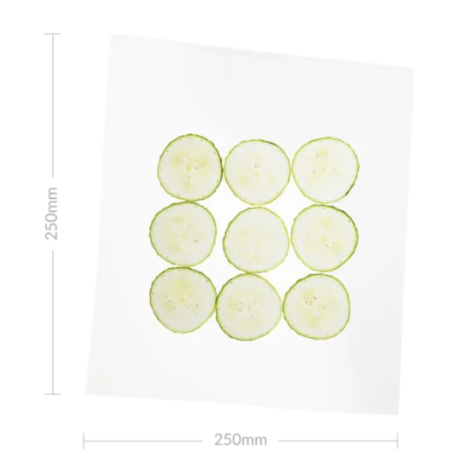 Sac Sous-Vide 250 mm x 250 mm - Boîte de 200 - SousVideTools