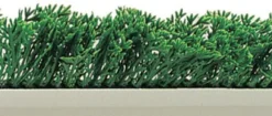 SEPARATION FEUILLAGE CYPRES SOCLE BLANC 55X750-L2G