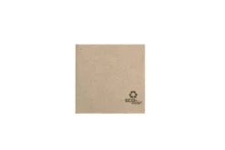 Serviette en ouate recyclée naturelle 20 x 20 cm micropoint 2 plis pliée en 4 - 2400 unités - Betik
