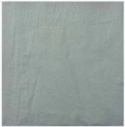 Serviette Ouate 2 Plis 39x39 cm Ecolabell - Lot de 2 Colis de 1800 - Manufacture De L'Ephemere