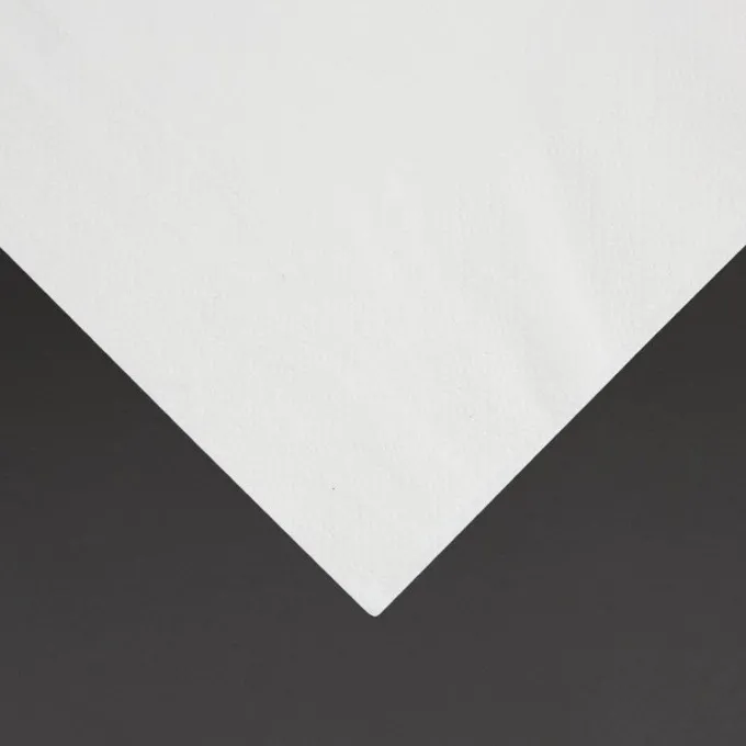 Serviettes Cocktail 1 Pli Format 1/4 Recyclable 300mm Blanches - Lot de 5000 - Fiesta
