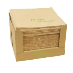 Serviettes double épaisseur en papier recyclé 330 mm - Carton de 2000