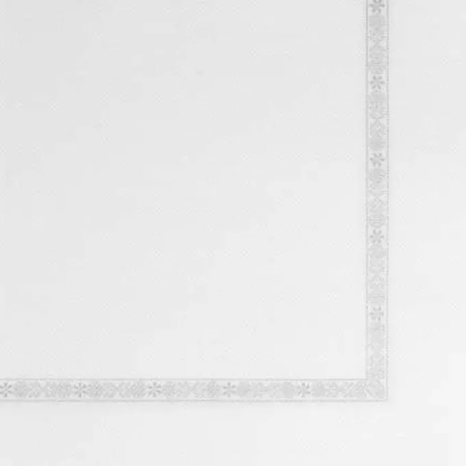 Serviette 39x39 cm Double Point Eco avec Liseret plus Blanc - Lot de 3 Colis de 1200 - Garcia De Pou Groupe