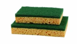 Tampon Vert Sur Eponge Pt Modèle - Lot de 10 - Guialto