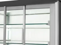 Vitrine Réfrigérée Professionnelle à Poser 280 Litres RG 1200 - Cool Head
