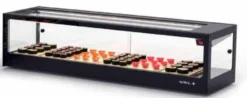 Vitrine Sushi Réfrigérée - 1190 x 380 x 300 mm - Avec Groupe de Réfrigérateur à Distance - SAYL
