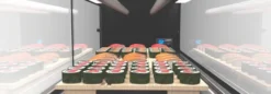 Vitrine Sushi Série LOGIC Cuve Plane avec Groupe Déporté - L 1190 mm - SAYL